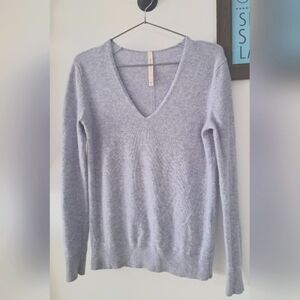 BABATON The Group Babaton Baby Blue Soft V-Neck Longsleeve